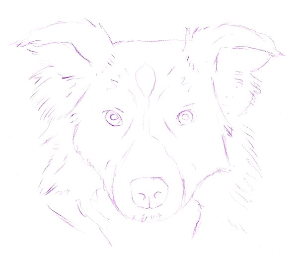 Drawing a Dog: Step 1