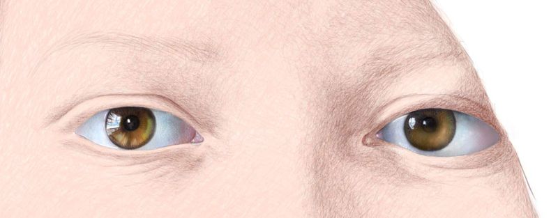 Color Pencil Portraits - How to Draw the Eyes: Step 8