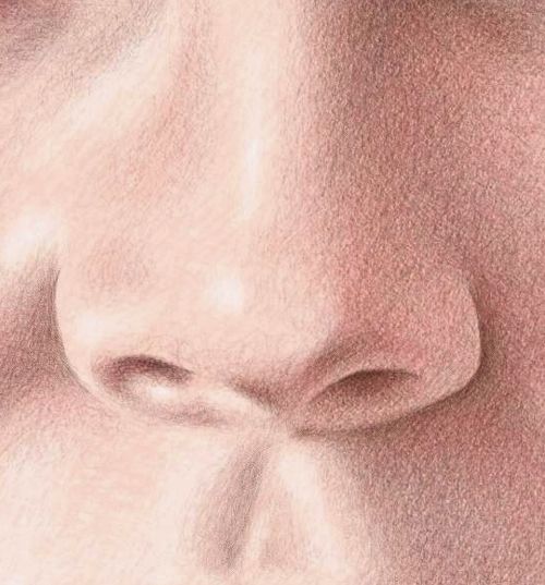 Color Pencil Portraits - How to Draw the Nose