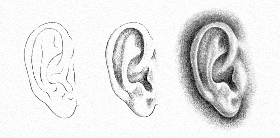 Pencil Portrait Drawing - How To Draw An Ear