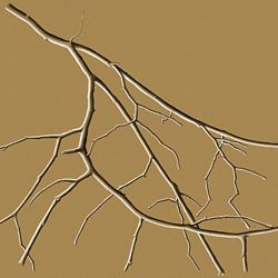 How to Draw Branches