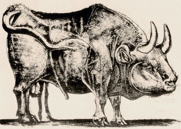 Bull (plate IV), 1945 - Pablo Picasso 