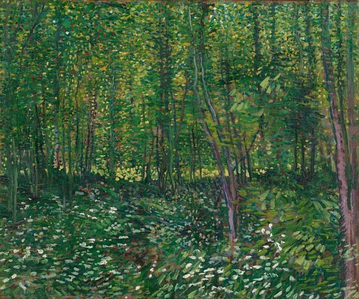 VINCENT VAN GOGH (1853-1890) 'Trees and Undergrowth', 1887 (oil on canvas)