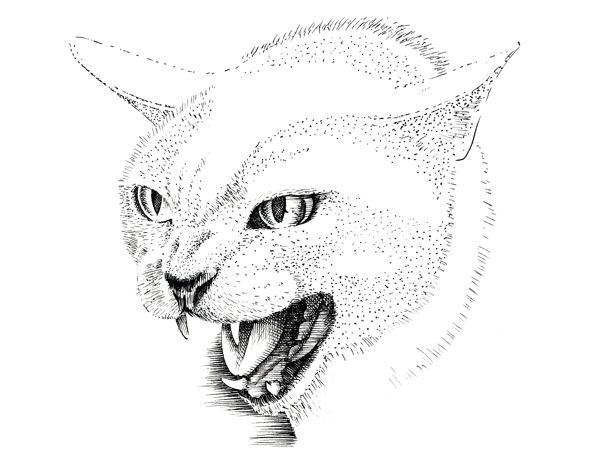 Abstract Art Dot Art Stipple Watercolor Highly Detailed Cat