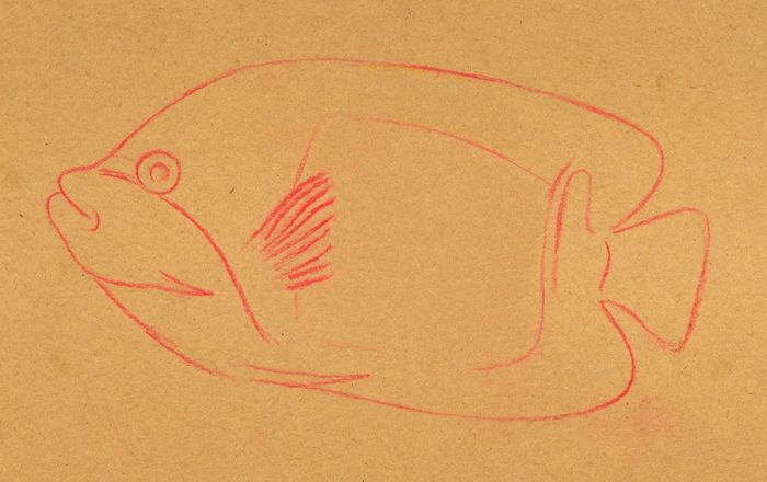 How to Draw a Tropical Fish