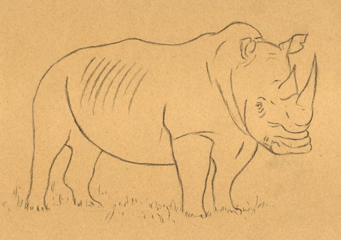 easy rhinoceros drawing for kids