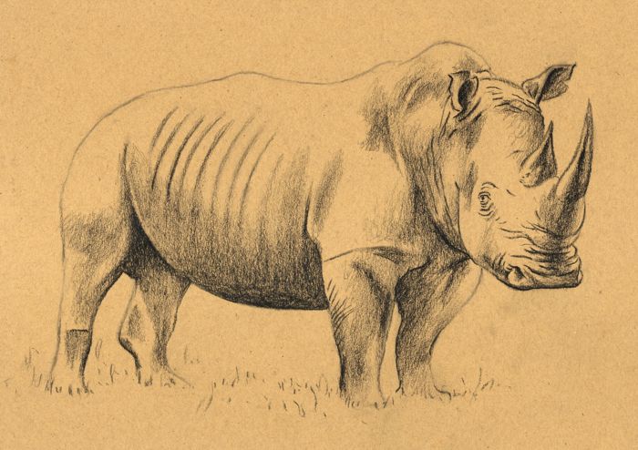 rendering settings rhino