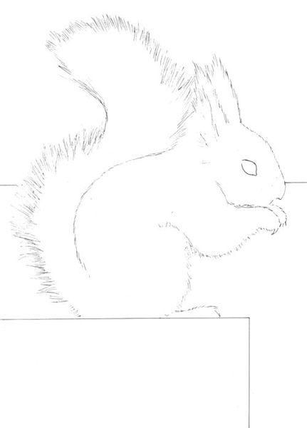 How to Draw a Squirrel VIDEO & Step-by-Step Pictures