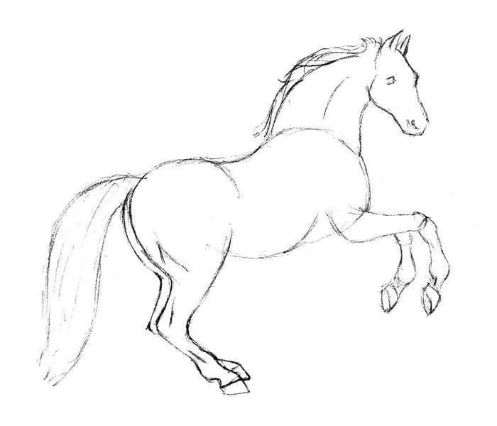 How-To-Draw-Horses  Horse drawings, Horse art drawing, Horse