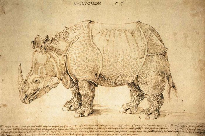 Albrecht Dürer Rhinoceros (1515)