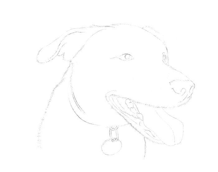 Painting a Dog: Step 1
