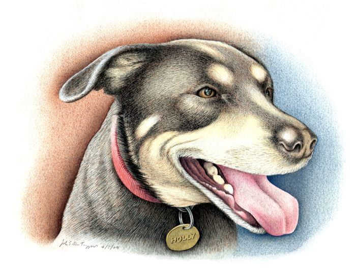 watercolor dog easy