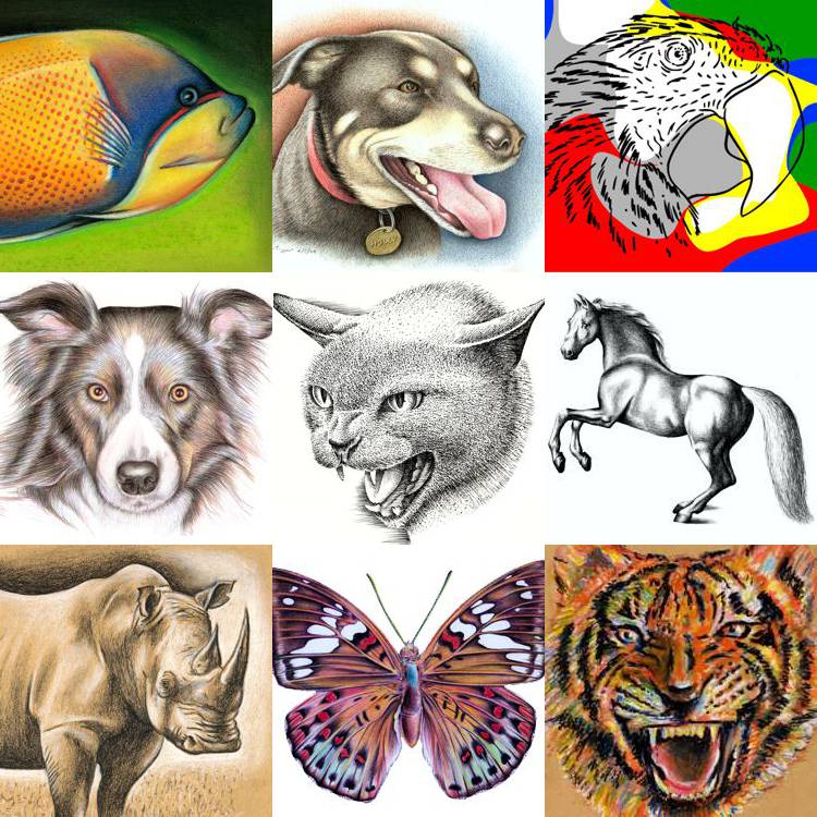 drawings of animals in colour