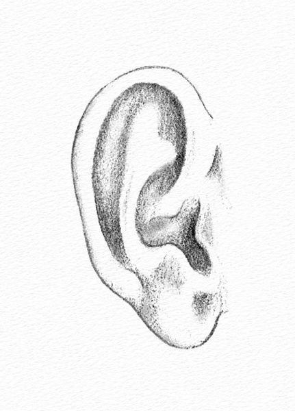 how to draw realistic ears