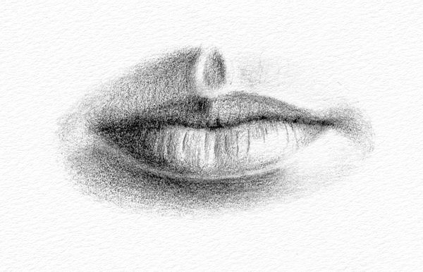 Here's a quick pencil sketch of the lips for today! . . . . #drawing  #anatomy #academicart #academicdrawing #draw #humananatomy #practi... |  Instagram
