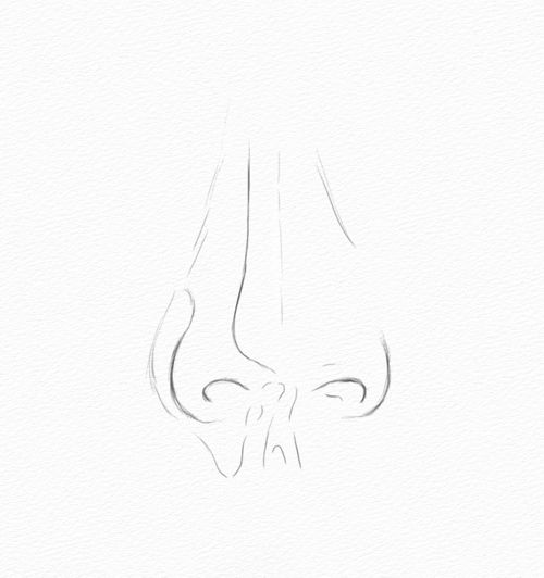 Nose Drawing Image - Drawing Skill