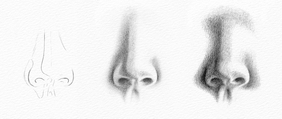 Pencil Portrait Drawing  How to Draw a Nose