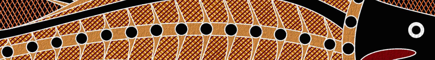 Aboriginal Art Lesson - X-Ray Art