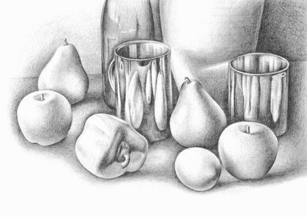 Still life with different objects, drawing. Artistic study of still life  with objects, drawn by hand. | CanStock